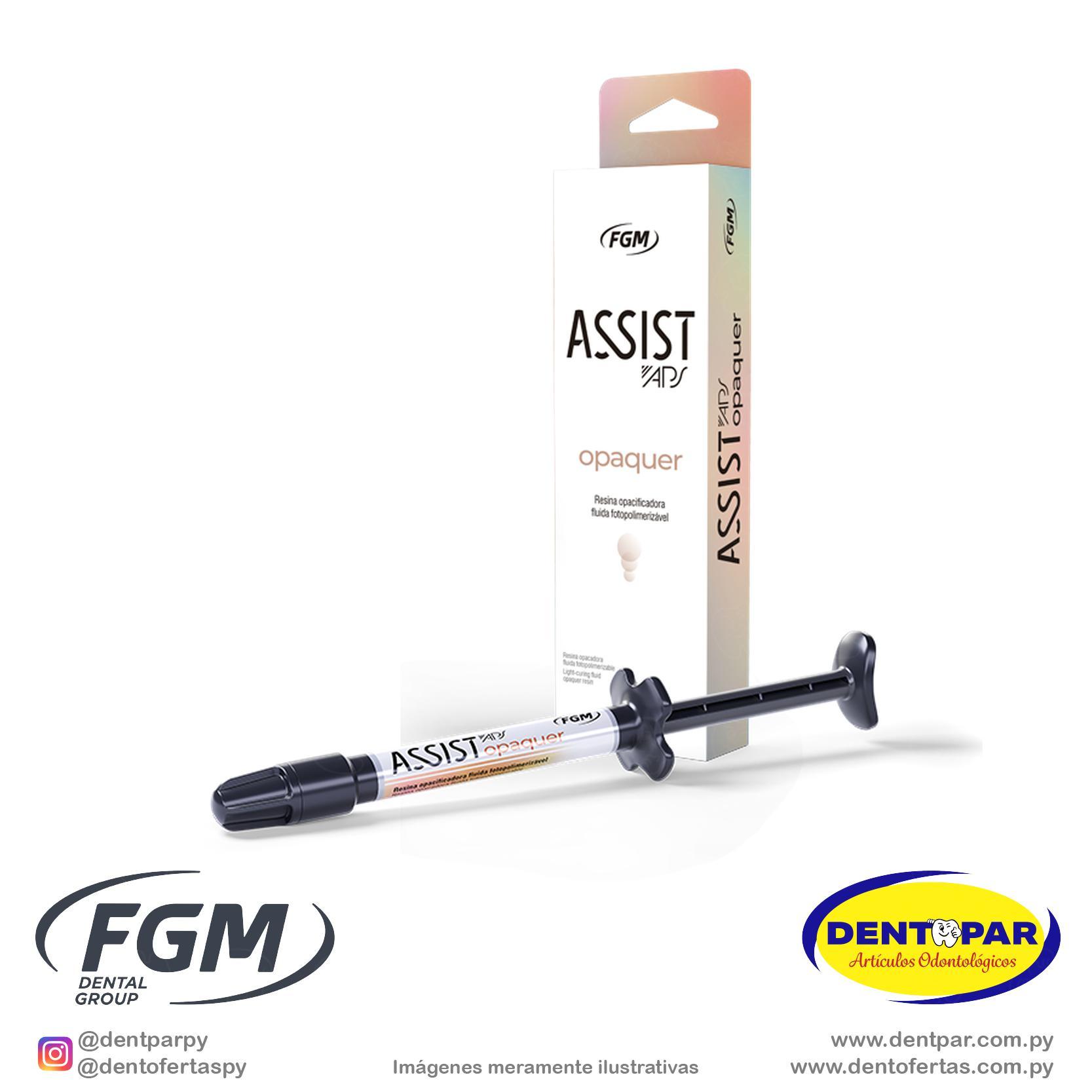Imagen del producto Resina opacificante fluida fotopolimerizable Assist Opaquer 2g Pink