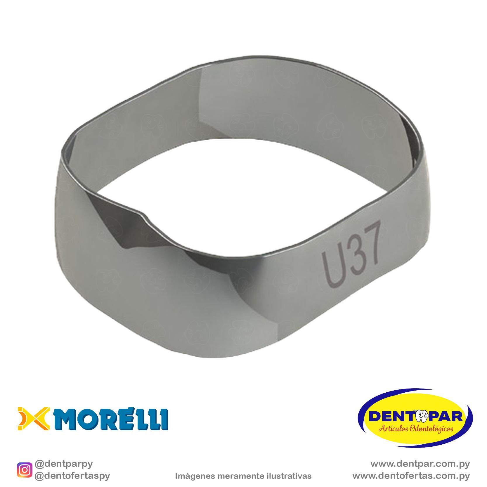 Imagen del producto Banda Unv 1y2 Mol S/D y S/I #37