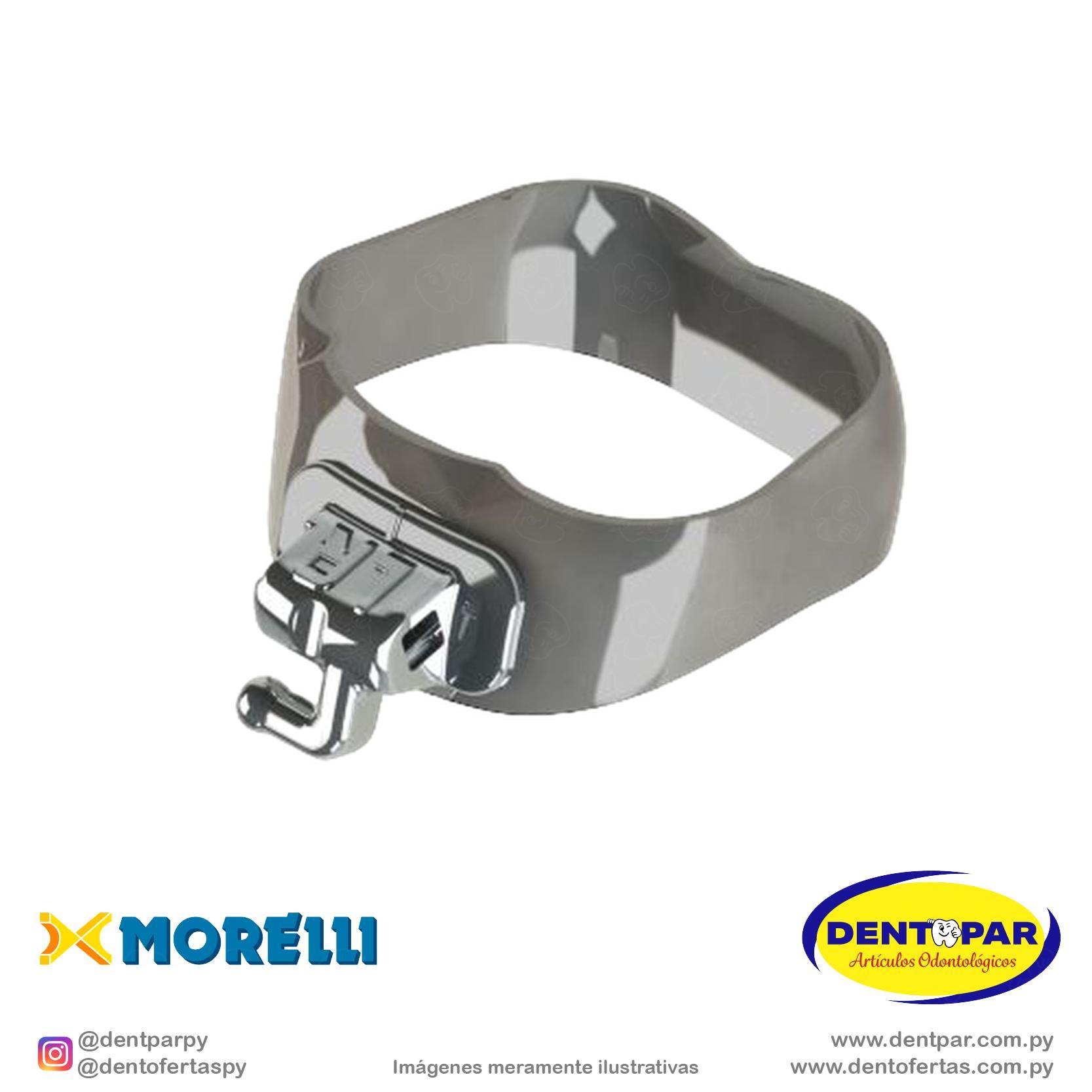 Imagen del producto Banda PS 1y2 Mol I/D y I/I #37 Tub simple