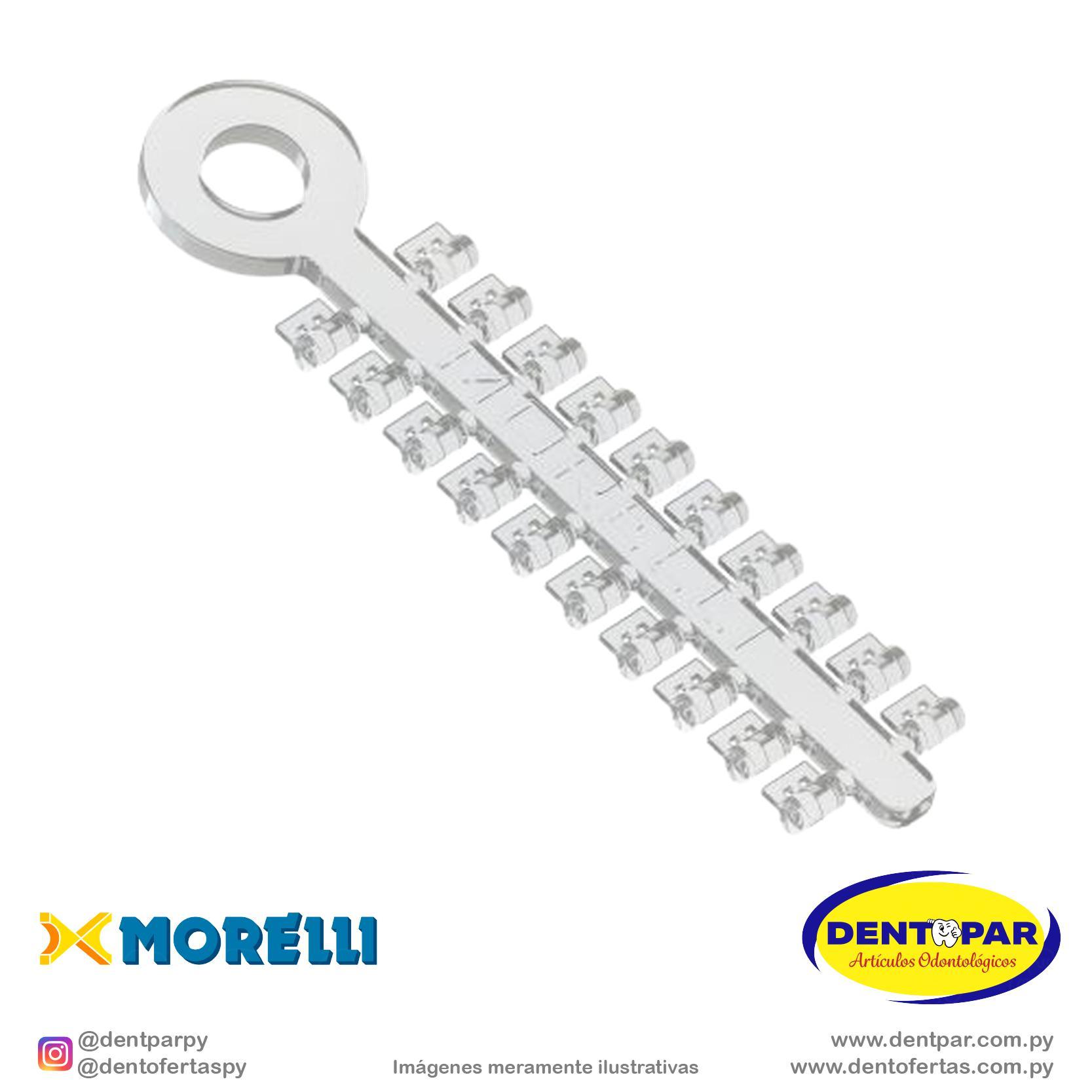 Imagen del producto Elastic rotadores cristal C/100